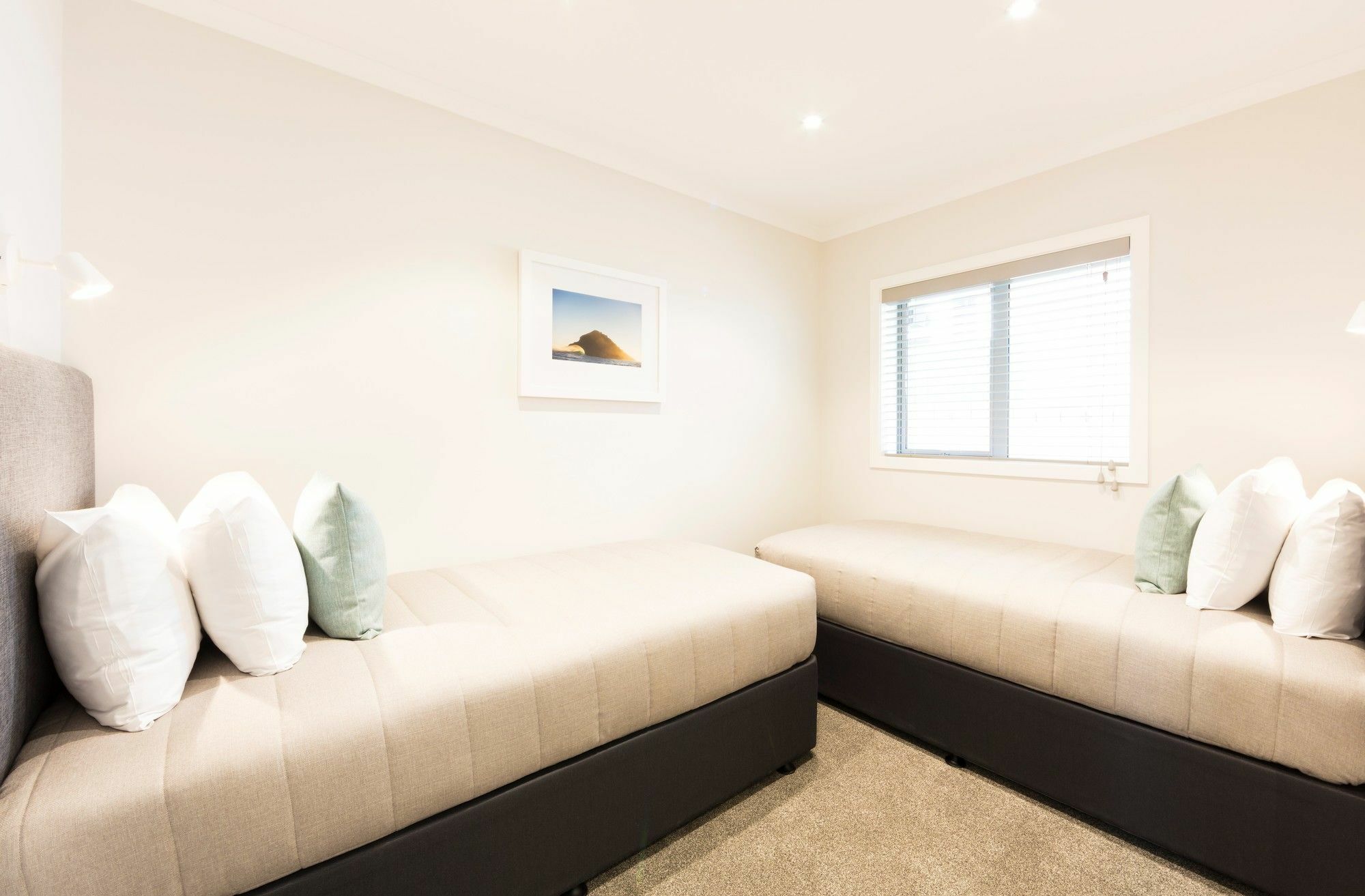 Beechwood Boutique Accommodation Dunedin Exterior photo